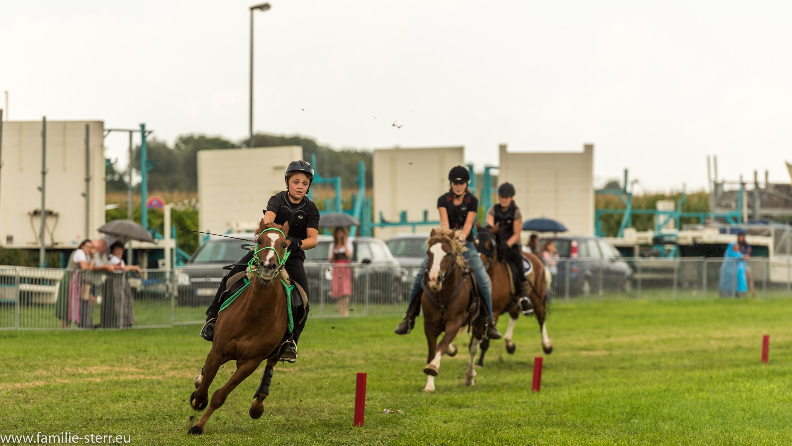 Trabrennen in Erding 2017